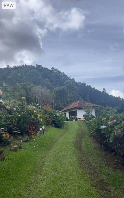 Holiday home Sitio Com Piscina Natural E Cascata, Com Linda Vista Em Lumiar. Lumiar
