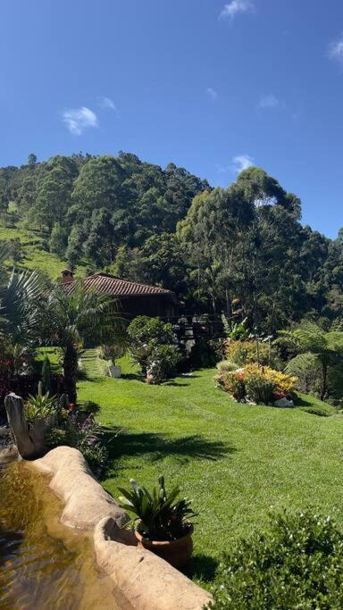 Sitio Com Piscina Natural E Cascata, Com Linda Vista Em Lumiar. * Lumiar