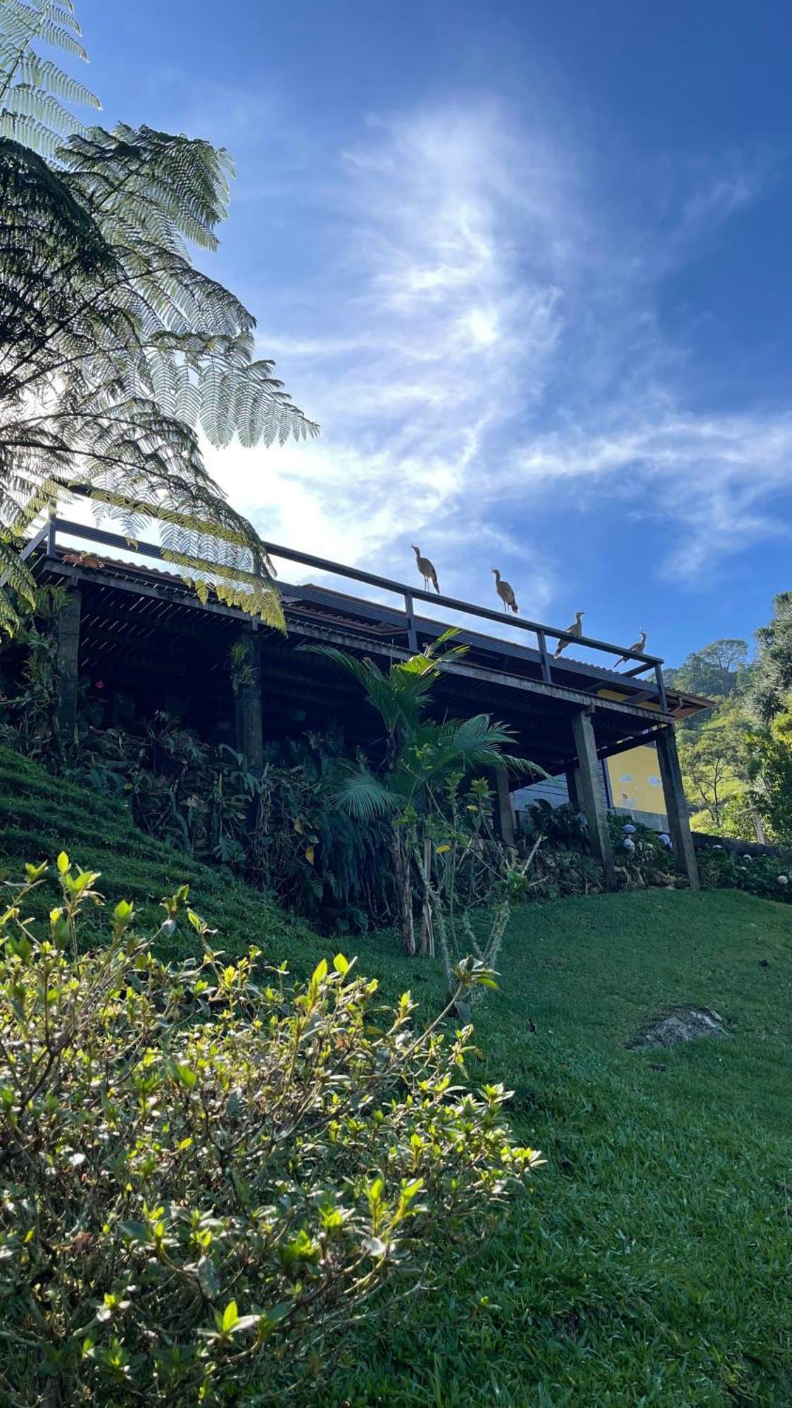 Sitio Com Piscina Natural E Cascata, Com Linda Vista Em Lumiar. Lumiar