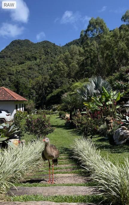 Sitio Com Piscina Natural E Cascata, Com Linda Vista Em Lumiar. *